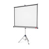 Projector Screen - Tripod/pull up